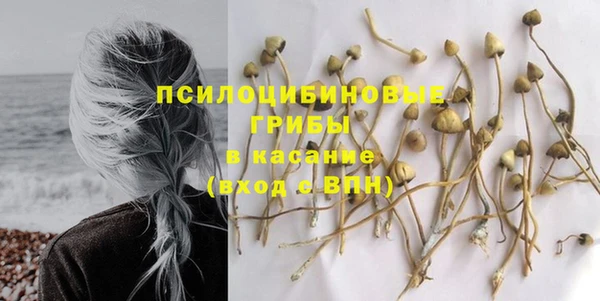 молекула духа Балабаново