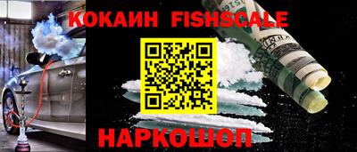 индика Вышний Волочёк