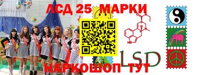 индика Вышний Волочёк