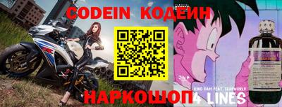 индика Вышний Волочёк