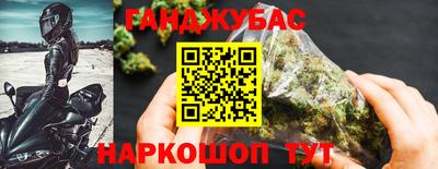 индика Вышний Волочёк