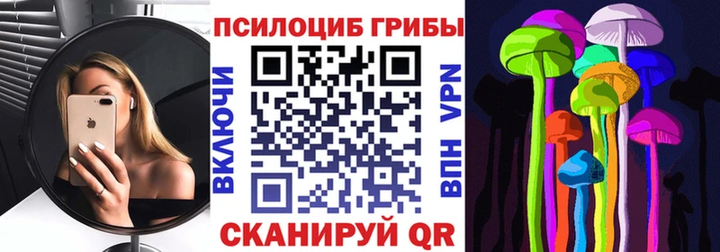 наркотики Заречный Псилоцибиновые грибы Magic Shrooms
