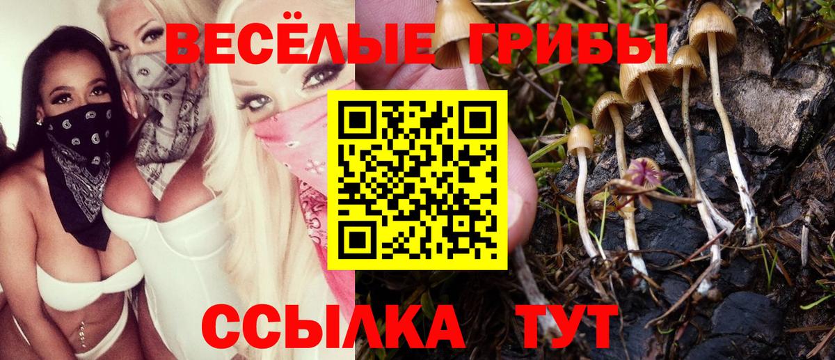 Псилоцибиновые грибы GOLDEN TEACHER Заречный